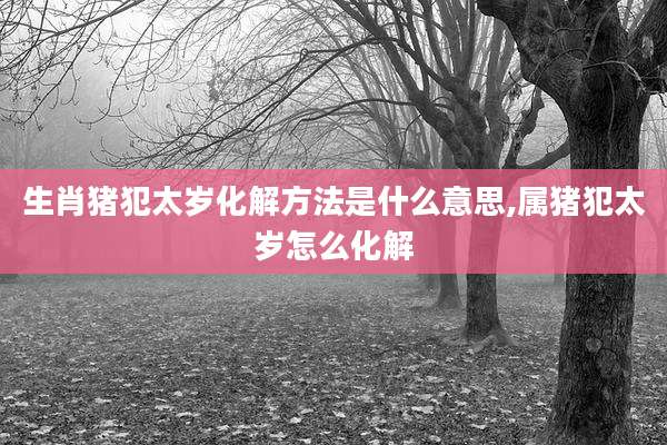 生肖猪犯太岁化解方法是什么意思,属猪犯太岁怎么化解