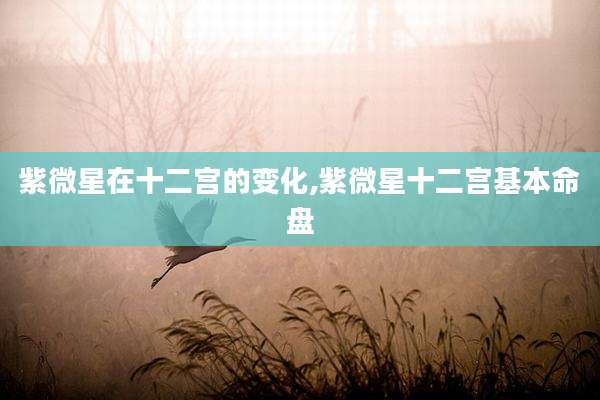 紫微星在十二宫的变化,紫微星十二宫基本命盘