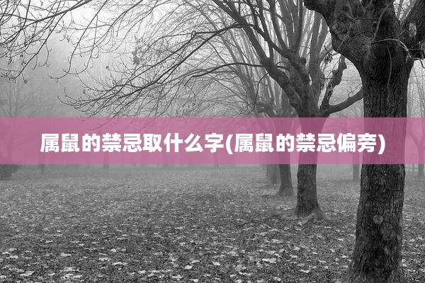 属鼠的禁忌取什么字(属鼠的禁忌偏旁)