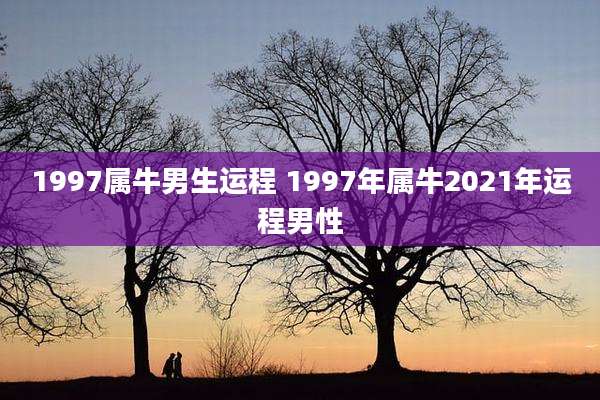 1997属牛男生运程 1997年属牛2021年运程男性