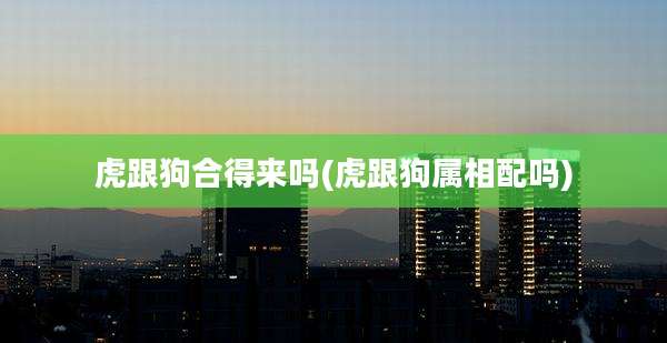 虎跟狗合得来吗(虎跟狗属相配吗)