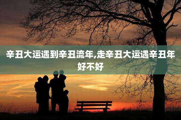 辛丑大运遇到辛丑流年,走辛丑大运遇辛丑年好不好