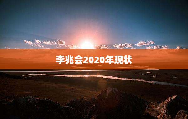 李兆会2020年现状