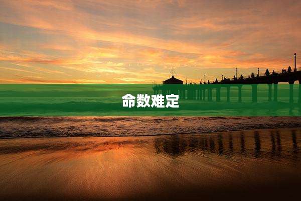 命数难定