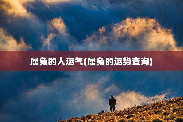 属兔的人运气(属兔的运势查询)