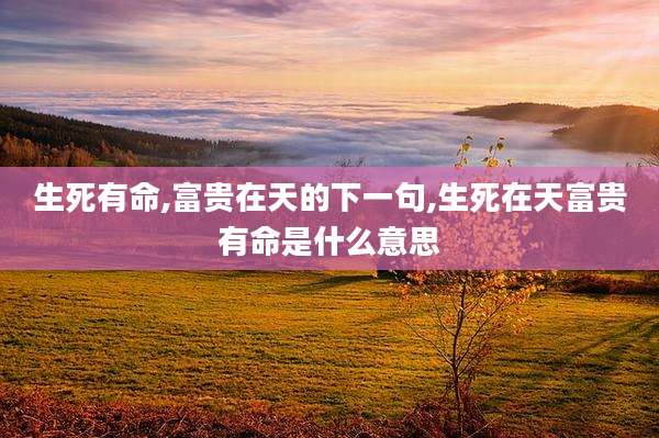 生死有命,富贵在天的下一句,生死在天富贵有命是什么意思