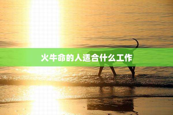 火牛命的人适合什么工作