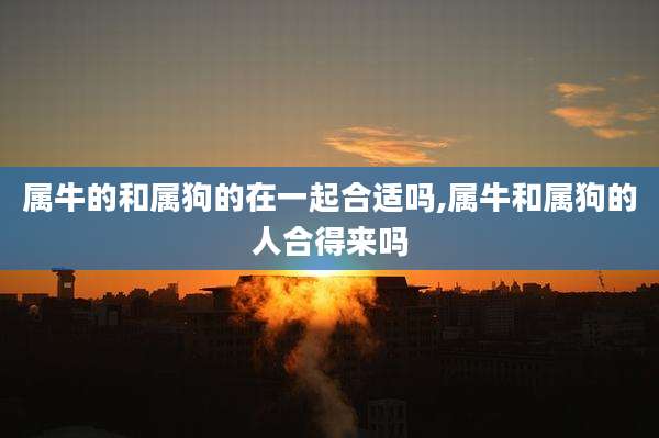 属牛的和属狗的在一起合适吗,属牛和属狗的人合得来吗