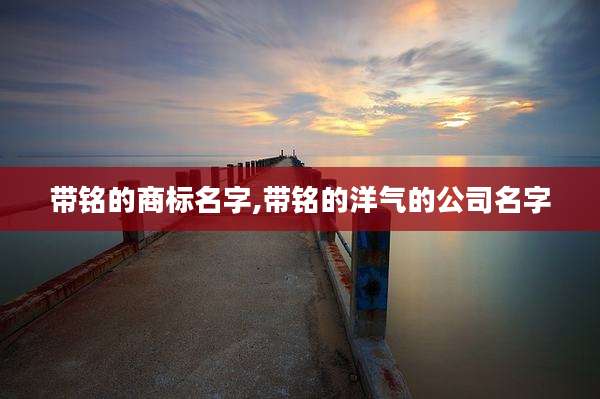 带铭的商标名字,带铭的洋气的公司名字