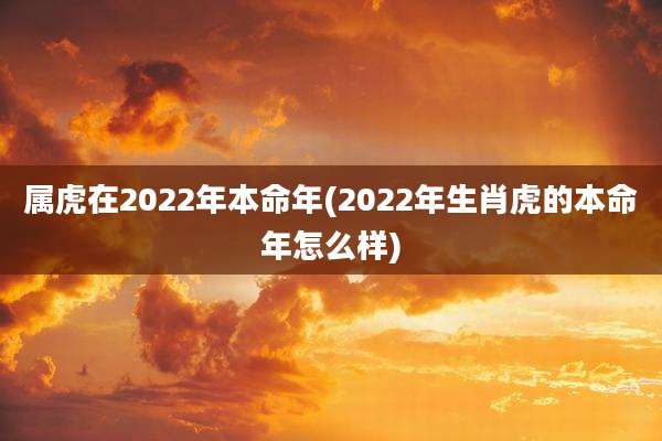 属虎在2022年本命年(2022年生肖虎的本命年怎么样)