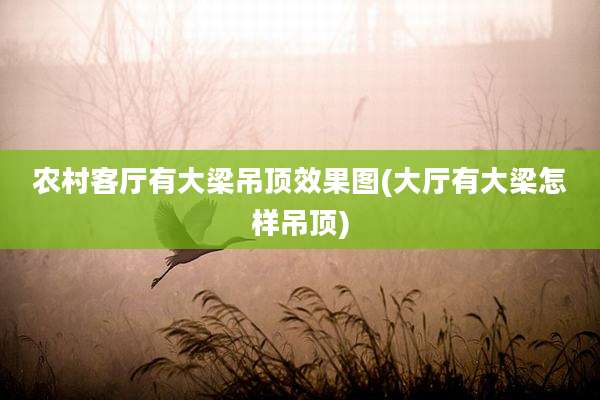 农村客厅有大梁吊顶效果图(大厅有大梁怎样吊顶)