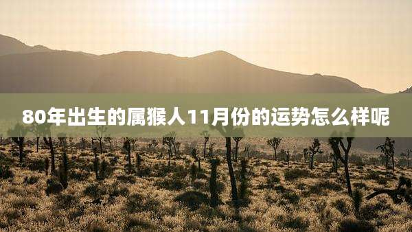 80年出生的属猴人11月份的运势怎么样呢