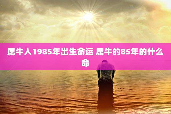 属牛人1985年出生命运 属牛的85年的什么命