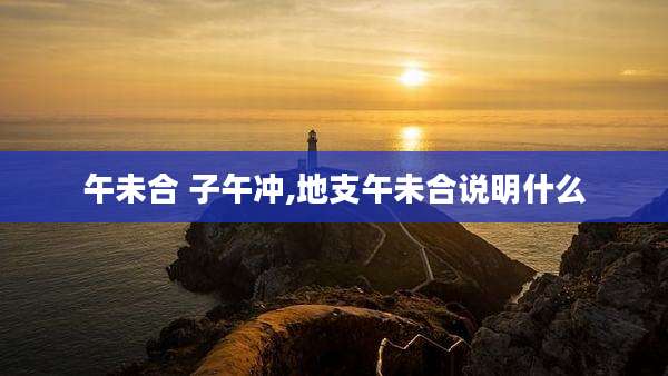 午未合 子午冲,地支午未合说明什么