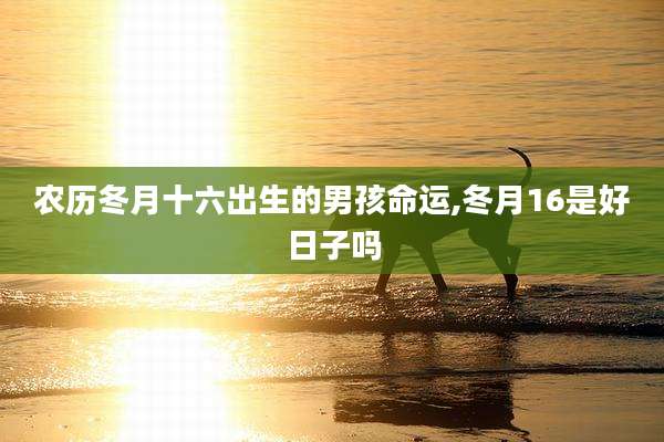 农历冬月十六出生的男孩命运,冬月16是好日子吗