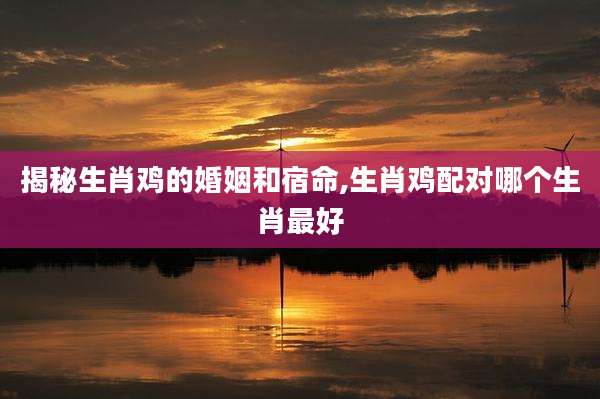 揭秘生肖鸡的婚姻和宿命,生肖鸡配对哪个生肖最好