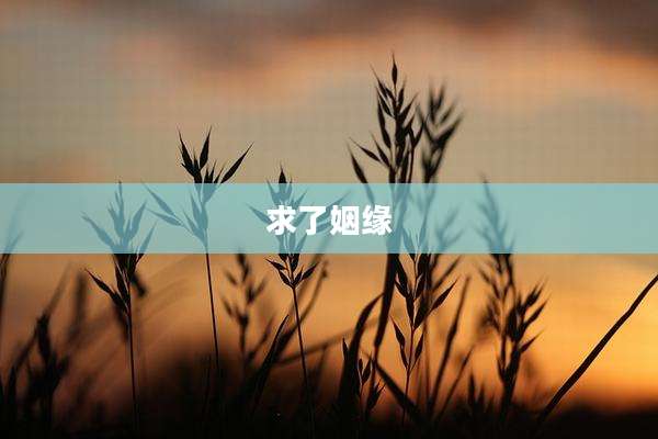 求了姻缘