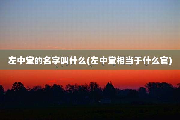 左中堂的名字叫什么(左中堂相当于什么官)