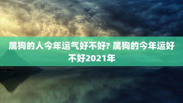 属狗的人今年运气好不好? 属狗的今年运好不好2021年