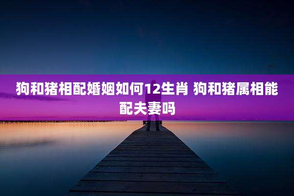 狗和猪相配婚姻如何12生肖 狗和猪属相能配夫妻吗