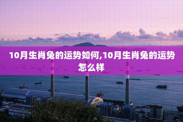 10月生肖兔的运势如何,10月生肖兔的运势怎么样