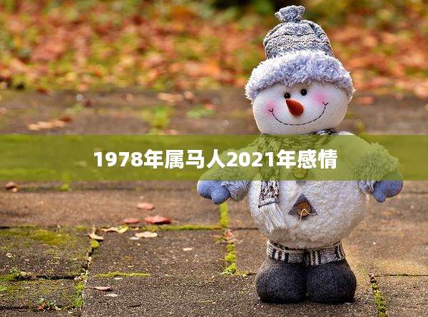 1978年属马人2021年感情