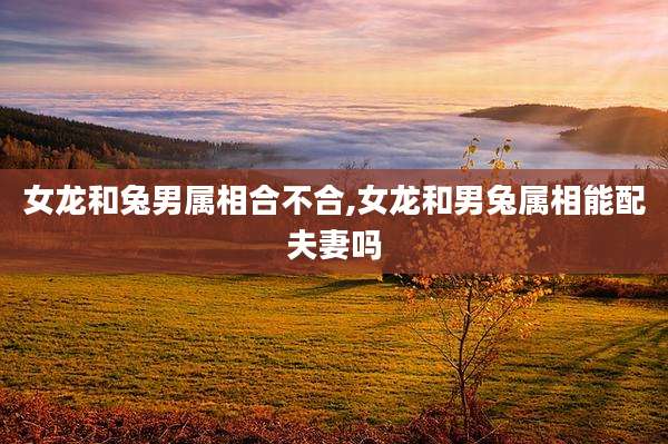女龙和兔男属相合不合,女龙和男兔属相能配夫妻吗