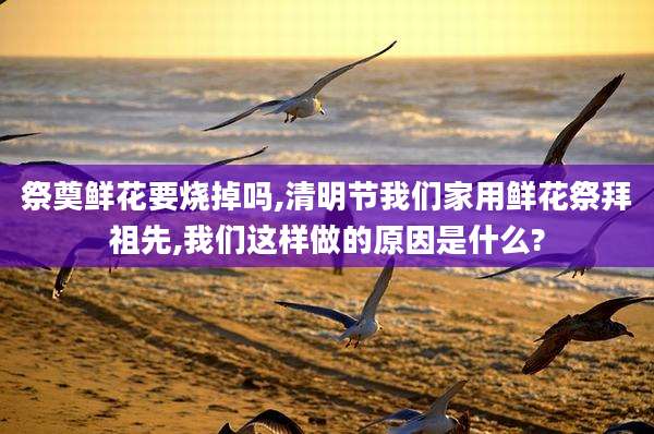 祭奠鲜花要烧掉吗,清明节我们家用鲜花祭拜祖先,我们这样做的原因是什么?