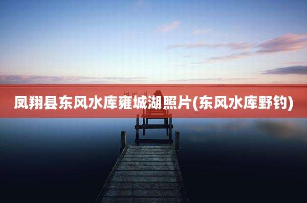 凤翔县东风水库雍城湖照片(东风水库野钓)