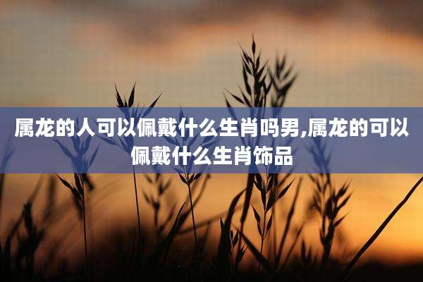 属龙的人可以佩戴什么生肖吗男,属龙的可以佩戴什么生肖饰品