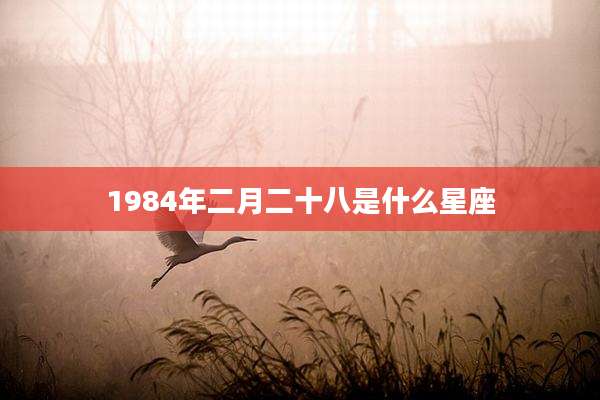 1984年二月二十八是什么星座