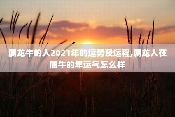 属龙牛的人2021年的运势及运程,属龙人在属牛的年运气怎么样