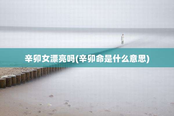 辛卯女漂亮吗(辛卯命是什么意思)