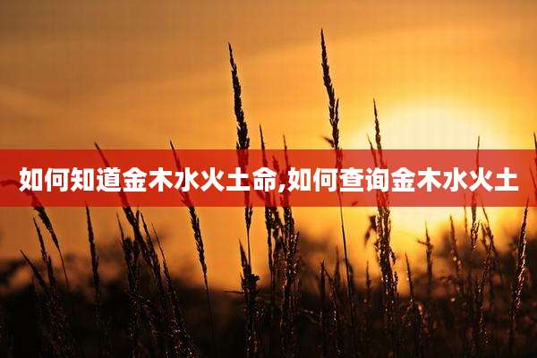 如何知道金木水火土命,如何查询金木水火土