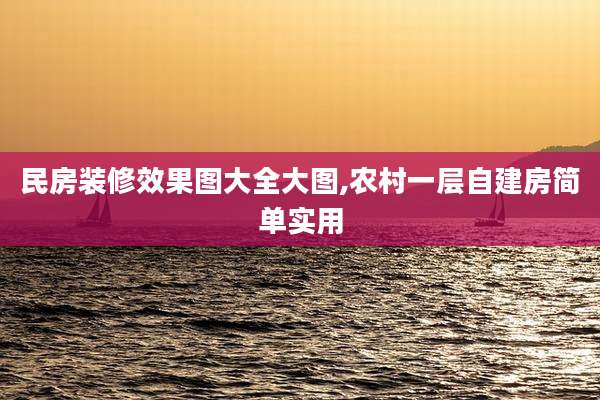 民房装修效果图大全大图,农村一层自建房简单实用