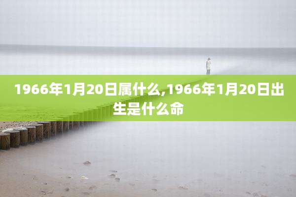 1966年1月20日属什么,1966年1月20日出生是什么命