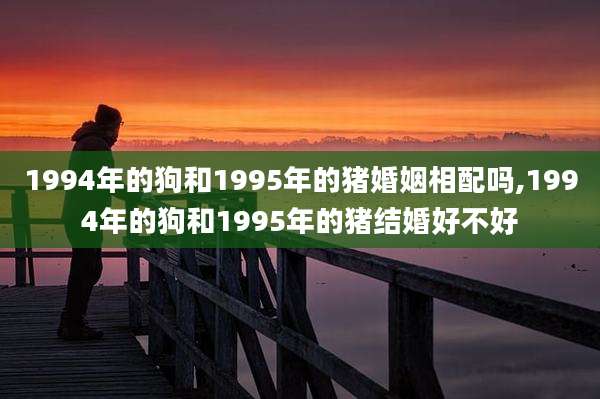 1994年的狗和1995年的猪婚姻相配吗,1994年的狗和1995年的猪结婚好不好