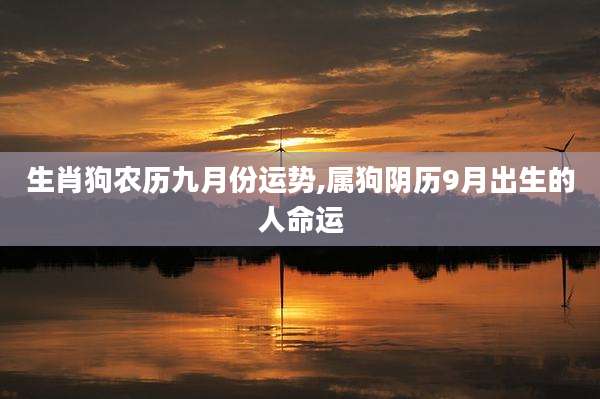 生肖狗农历九月份运势,属狗阴历9月出生的人命运