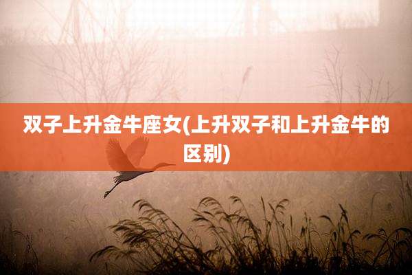 双子上升金牛座女(上升双子和上升金牛的区别)