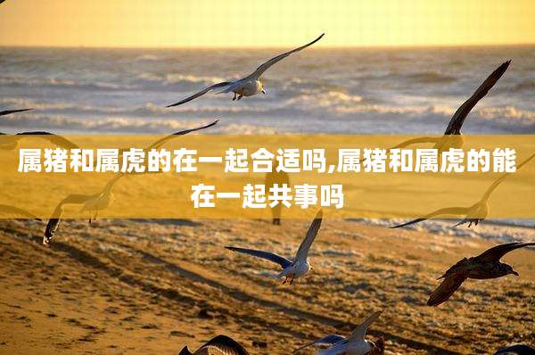 属猪和属虎的在一起合适吗,属猪和属虎的能在一起共事吗