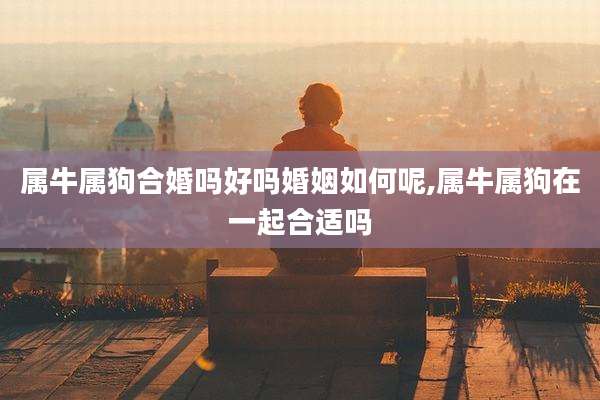 属牛属狗合婚吗好吗婚姻如何呢,属牛属狗在一起合适吗