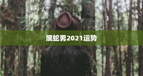 属蛇男2021运势