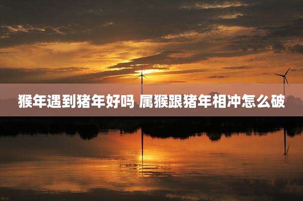 猴年遇到猪年好吗 属猴跟猪年相冲怎么破
