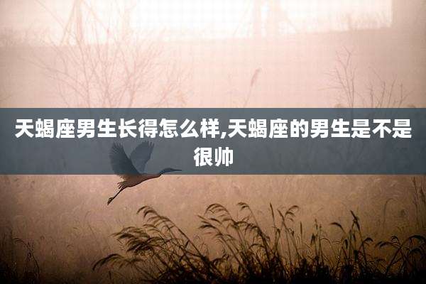 天蝎座男生长得怎么样,天蝎座的男生是不是很帅