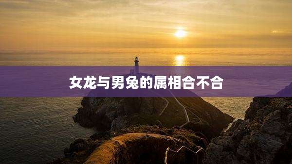 女龙与男兔的属相合不合