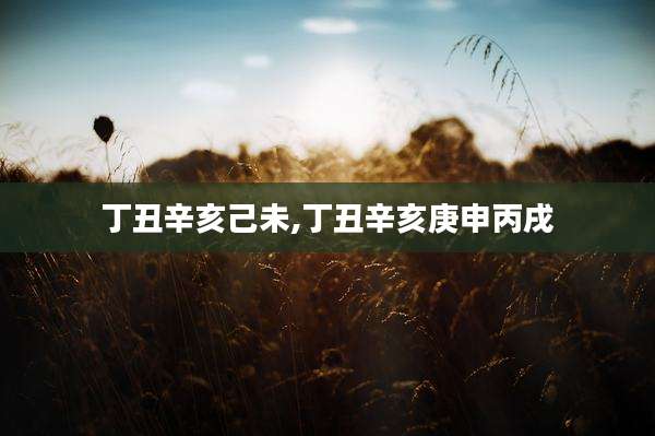 丁丑辛亥己未,丁丑辛亥庚申丙戌