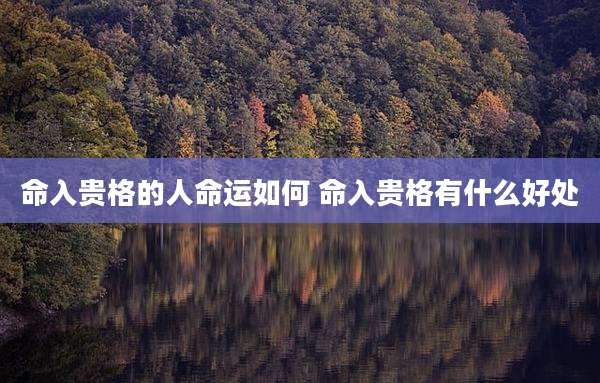 命入贵格的人命运如何 命入贵格有什么好处