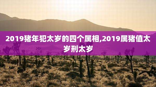2019猪年犯太岁的四个属相,2019属猪值太岁刑太岁