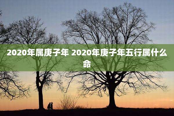 2020年属庚子年 2020年庚子年五行属什么命