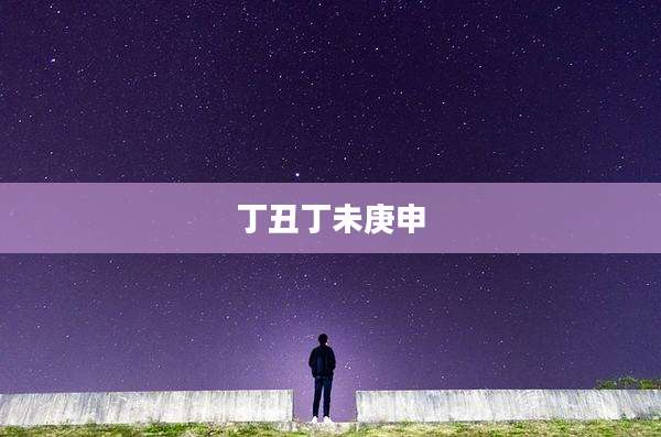 丁丑丁未庚申